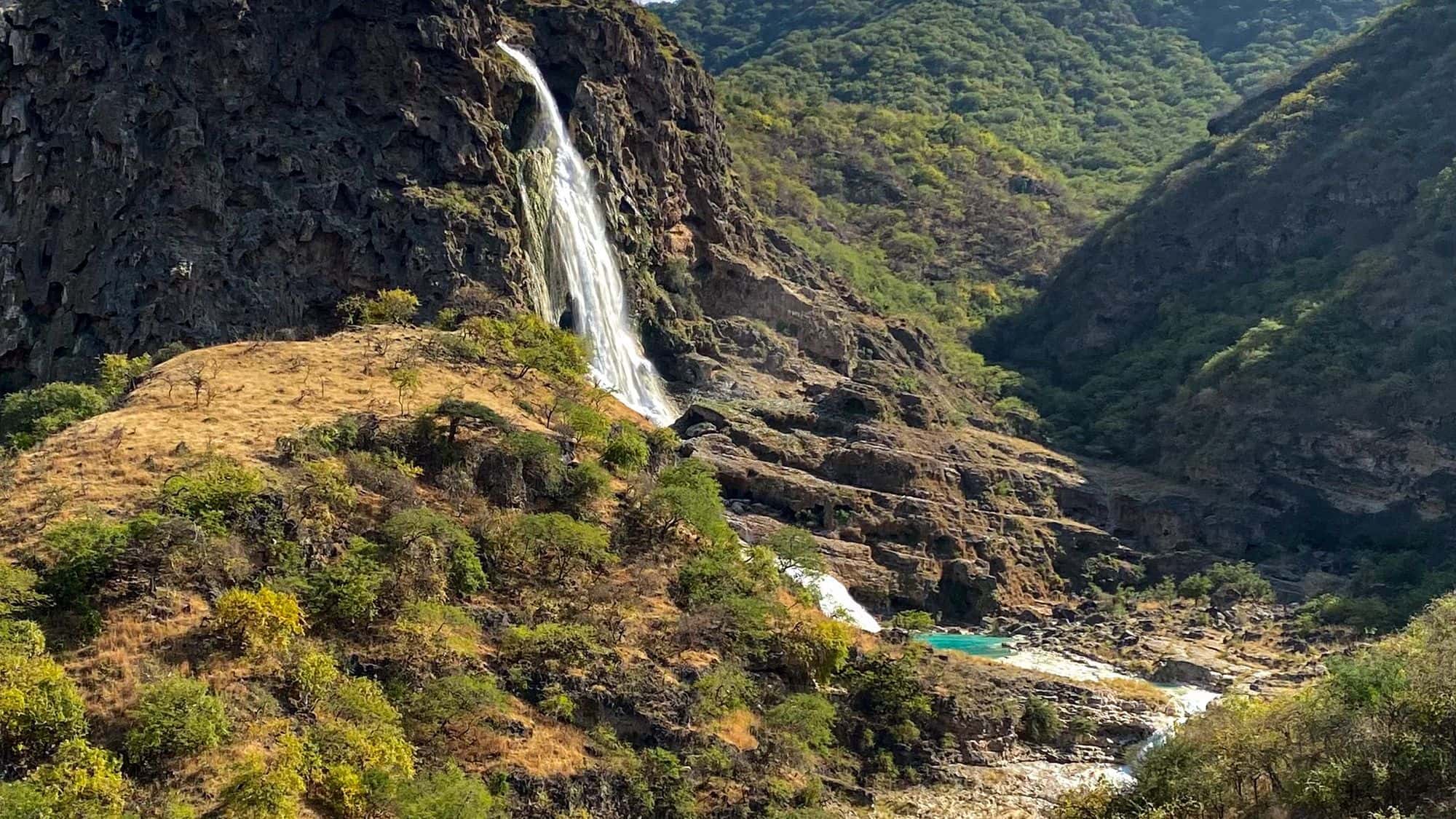 Green Salalah landscape during the summer Khareef season in Oman