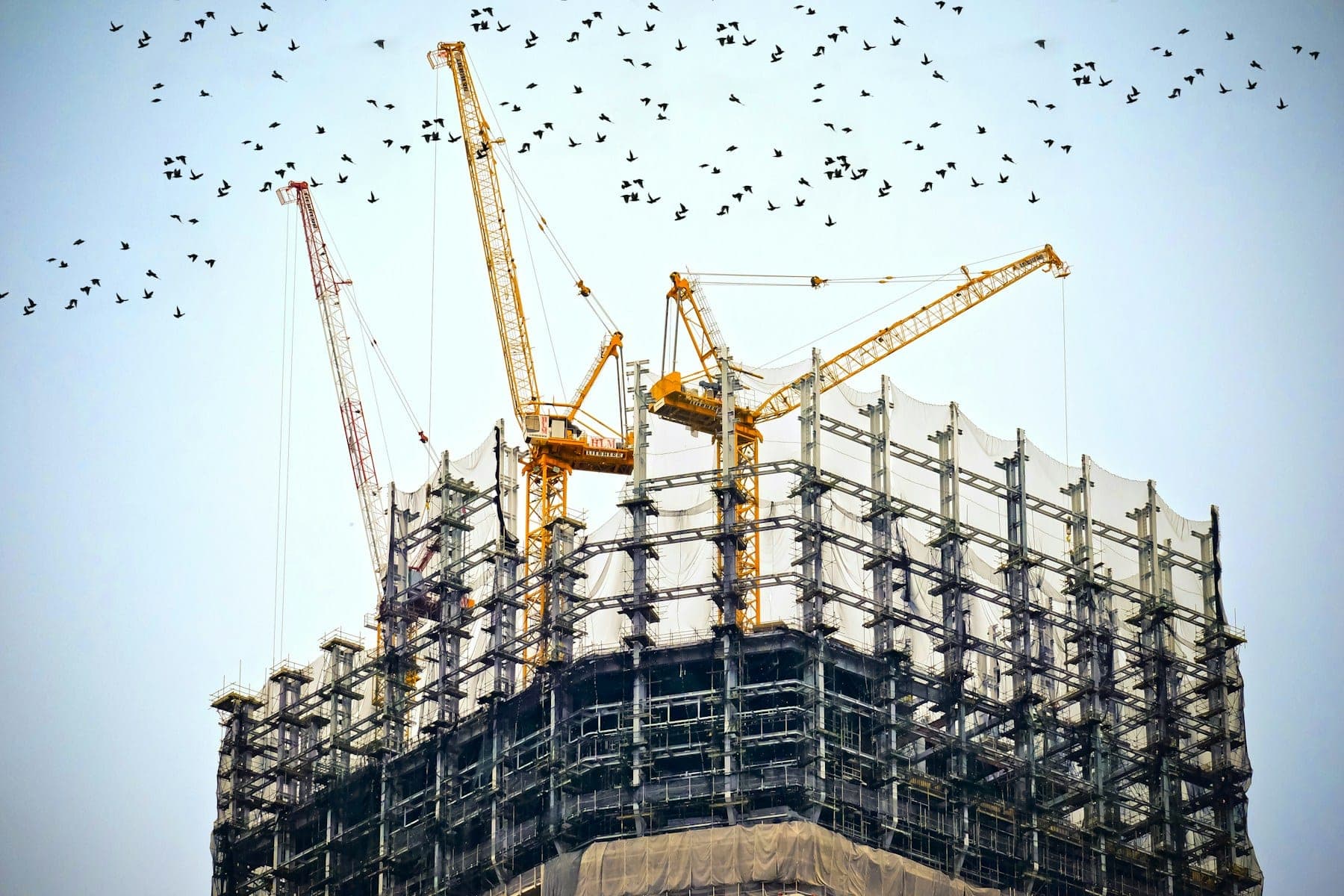 Cranes on top of a steel-framed tower under construction, with birds flying overhead.