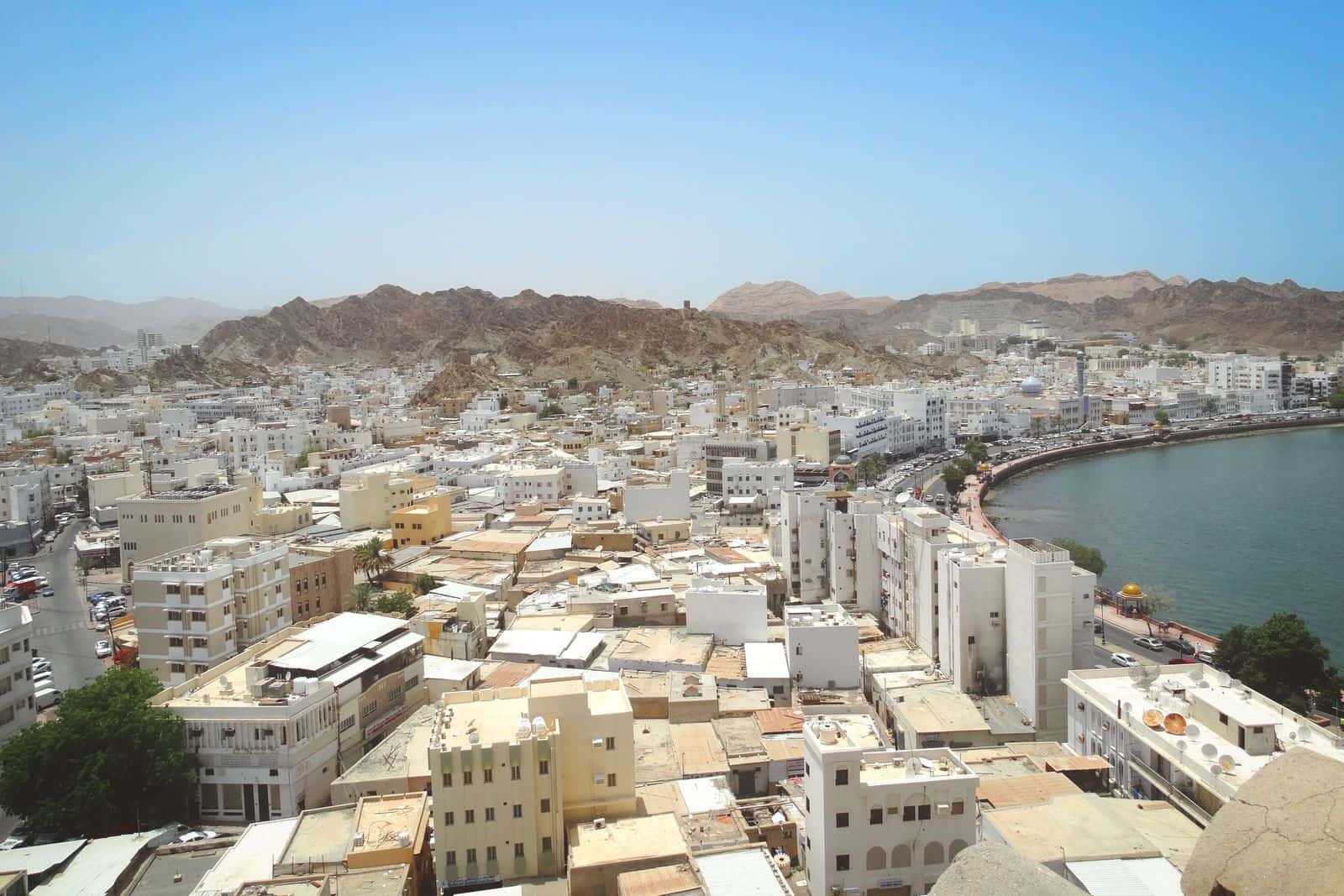 Gulf business professional choosing a software company in Muscat