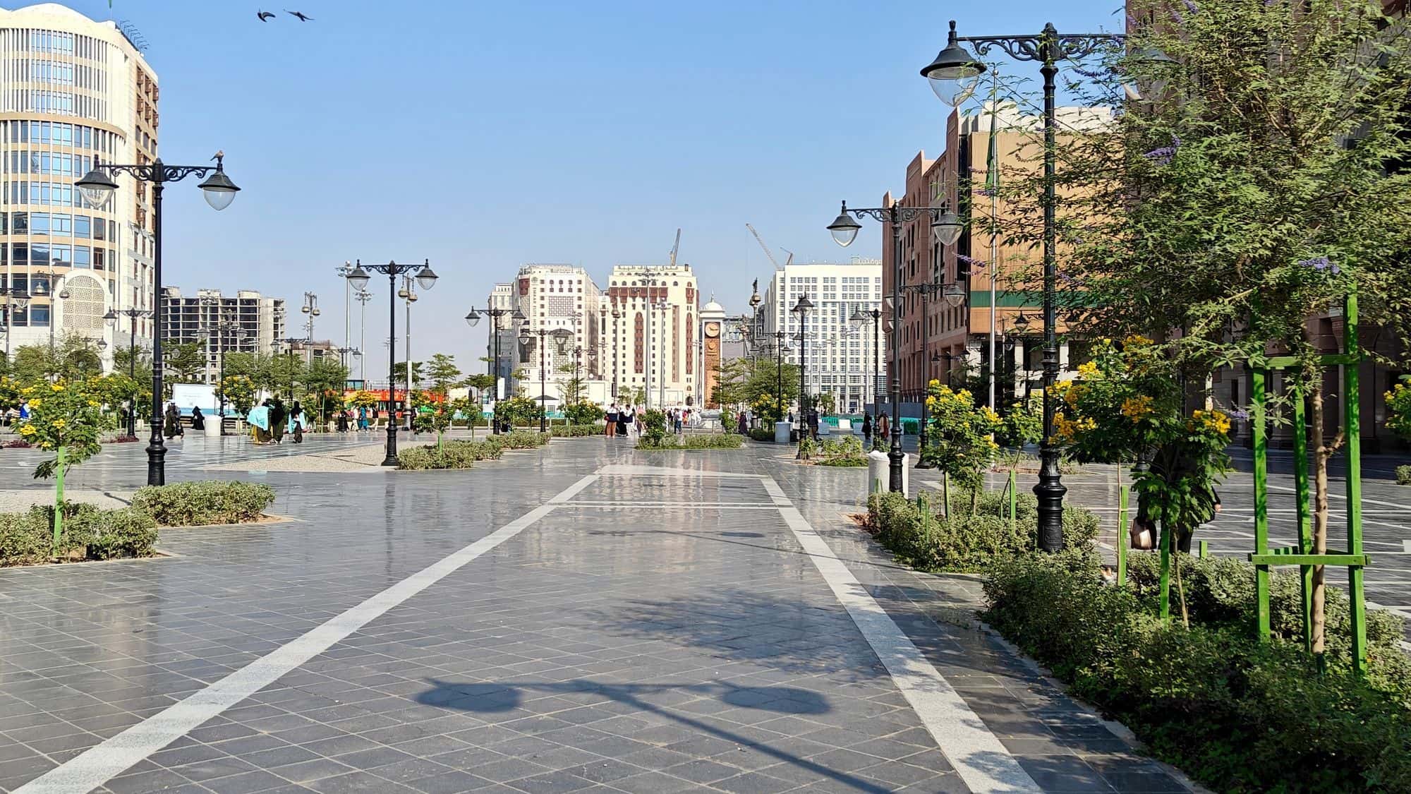 Riyadh city for a clinic website and online booking guide
